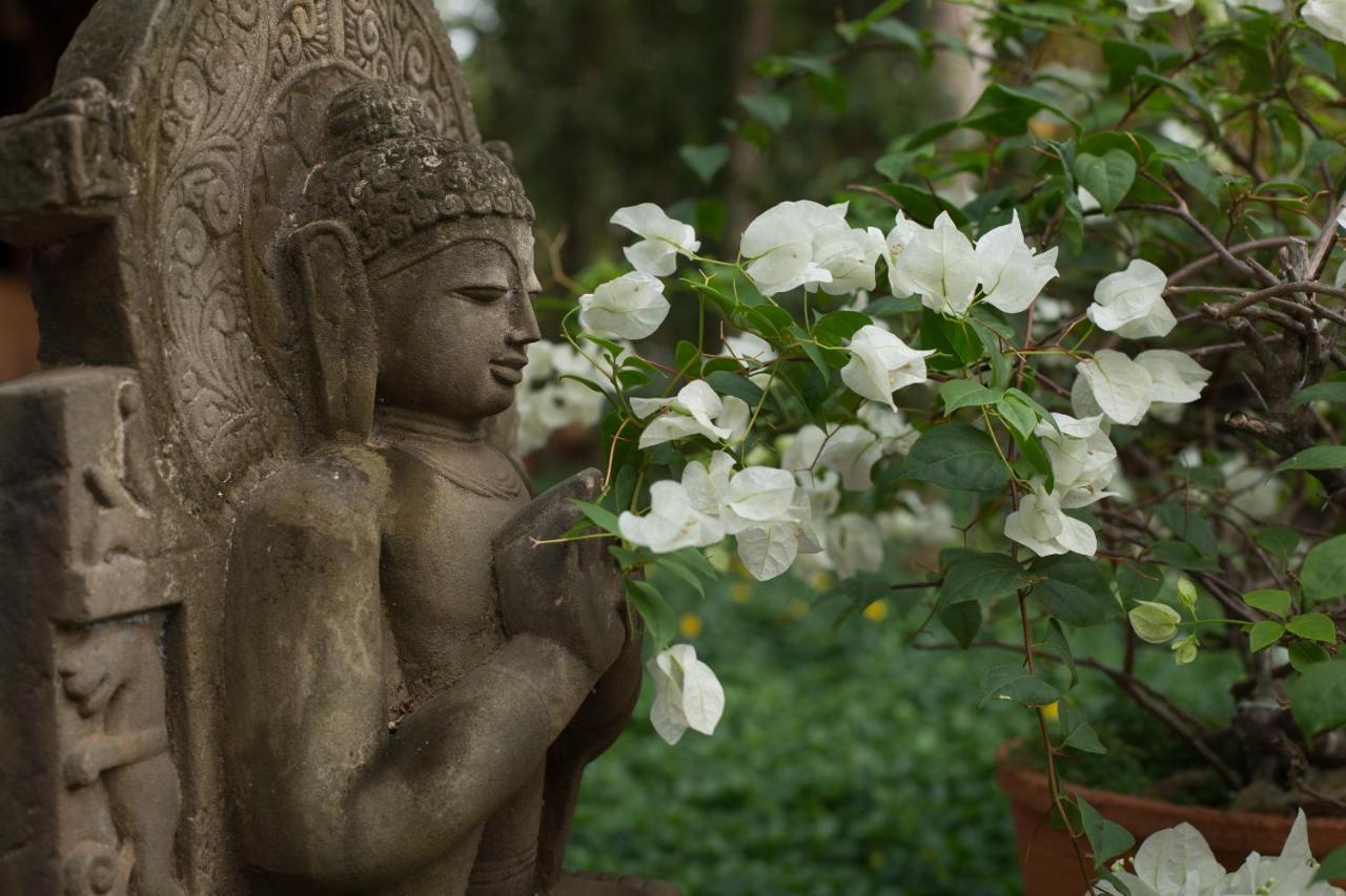 Soma Manaltheeram Ayurveda Beachvillage Kovalam Exterior foto